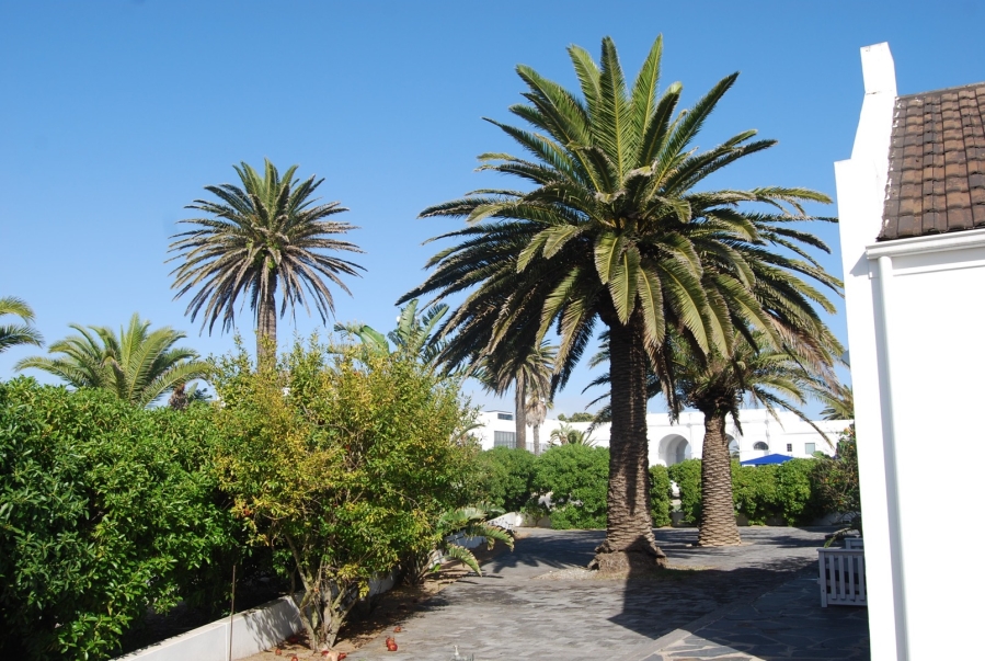 To Let 8 Bedroom Property for Rent in Shelley Point Western Cape